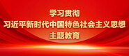 我要看逼逼学习贯彻习近平新时代中国特色社会主义思想主题教育_fororder_ad-371X160(2)